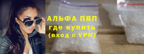 spice Богданович