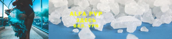 spice Богданович
