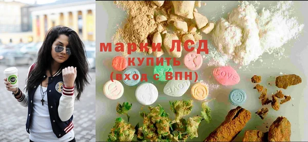 spice Богданович