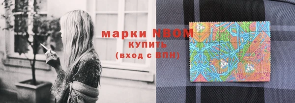 spice Богданович