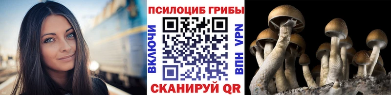 hydra ССЫЛКА  Валуйки  Галлюциногенные грибы MAGIC MUSHROOMS 